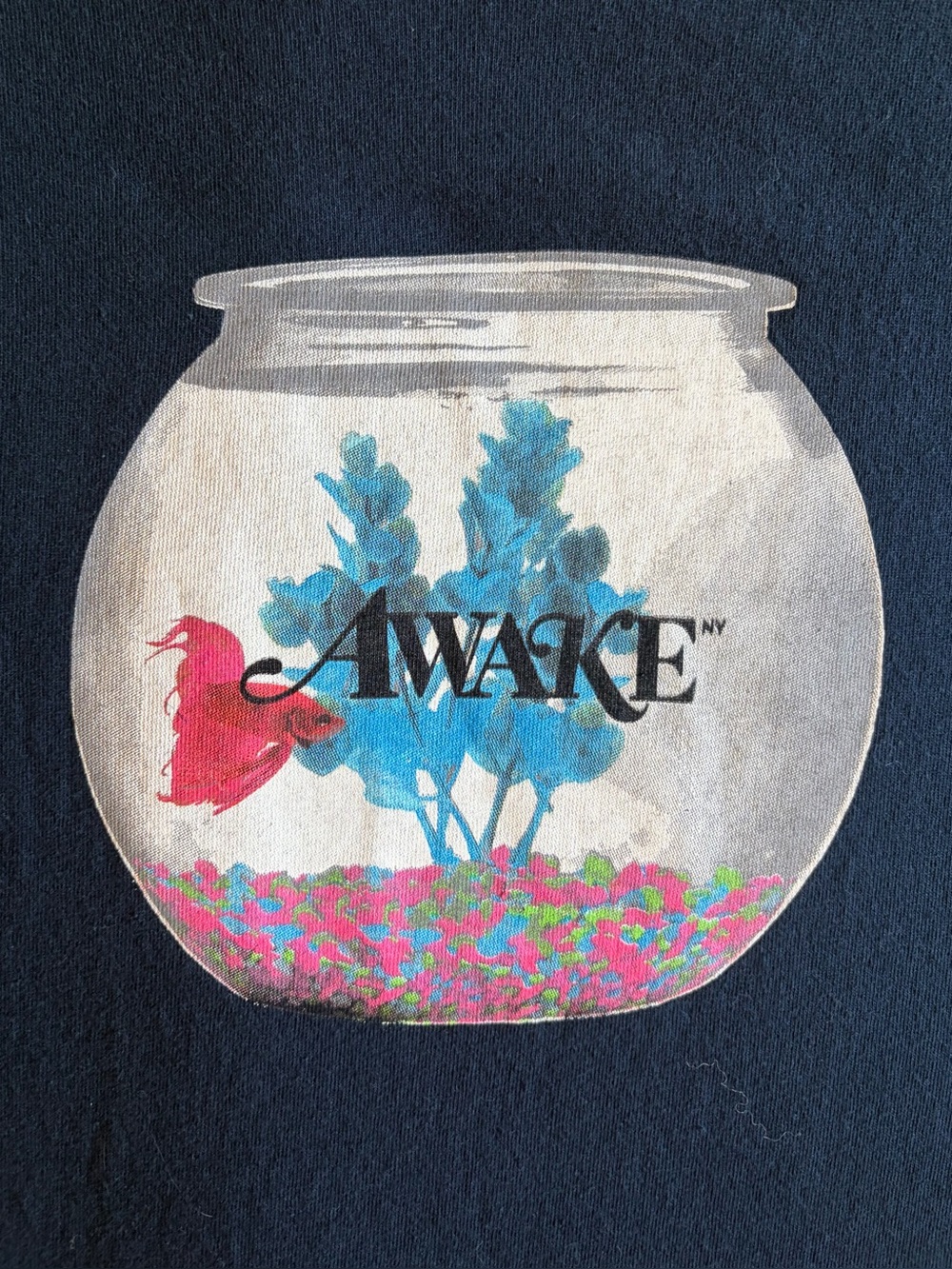 Awake Fish Bowl T-Shirt

Size Large